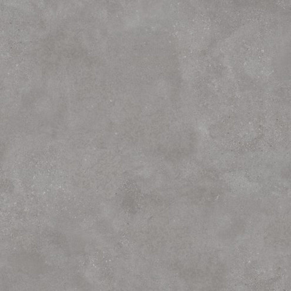 Lasselsberger BETONICO GREY NAT. main image