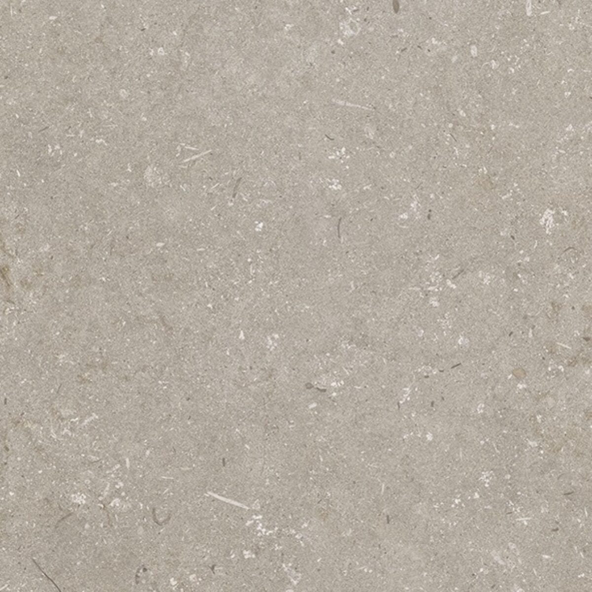 Outdoor Concept SHELLSTONE (20MM) TAUPE STRUCT. main image