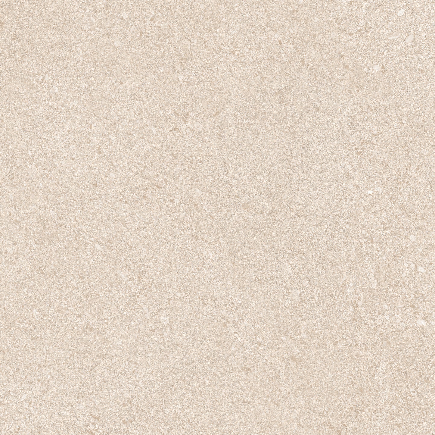 20Mm Dior Beige main image