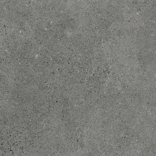 Authority Graphite main image