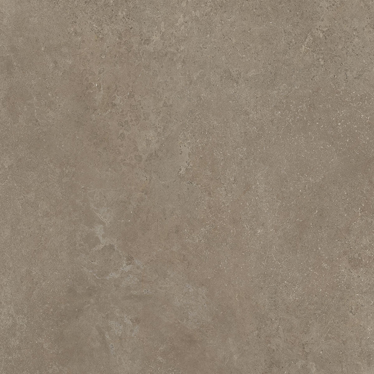 Cerdomus CROATIA TORTORA NAT. main image