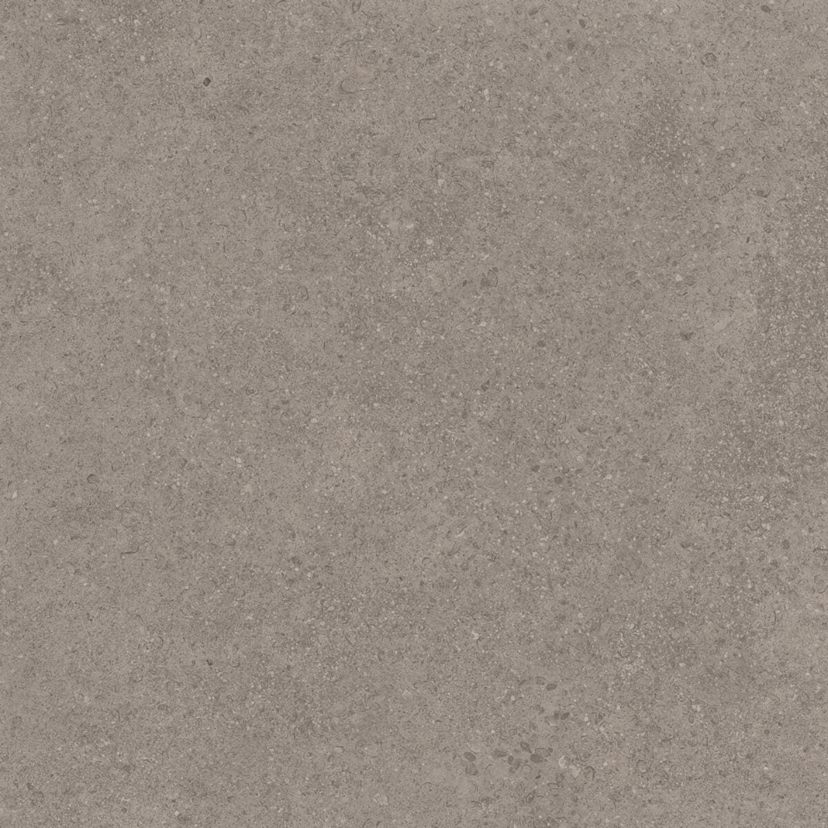 Cerdomus P. DEL MAN. (20 MM) GRIGIO STRUCT. main image