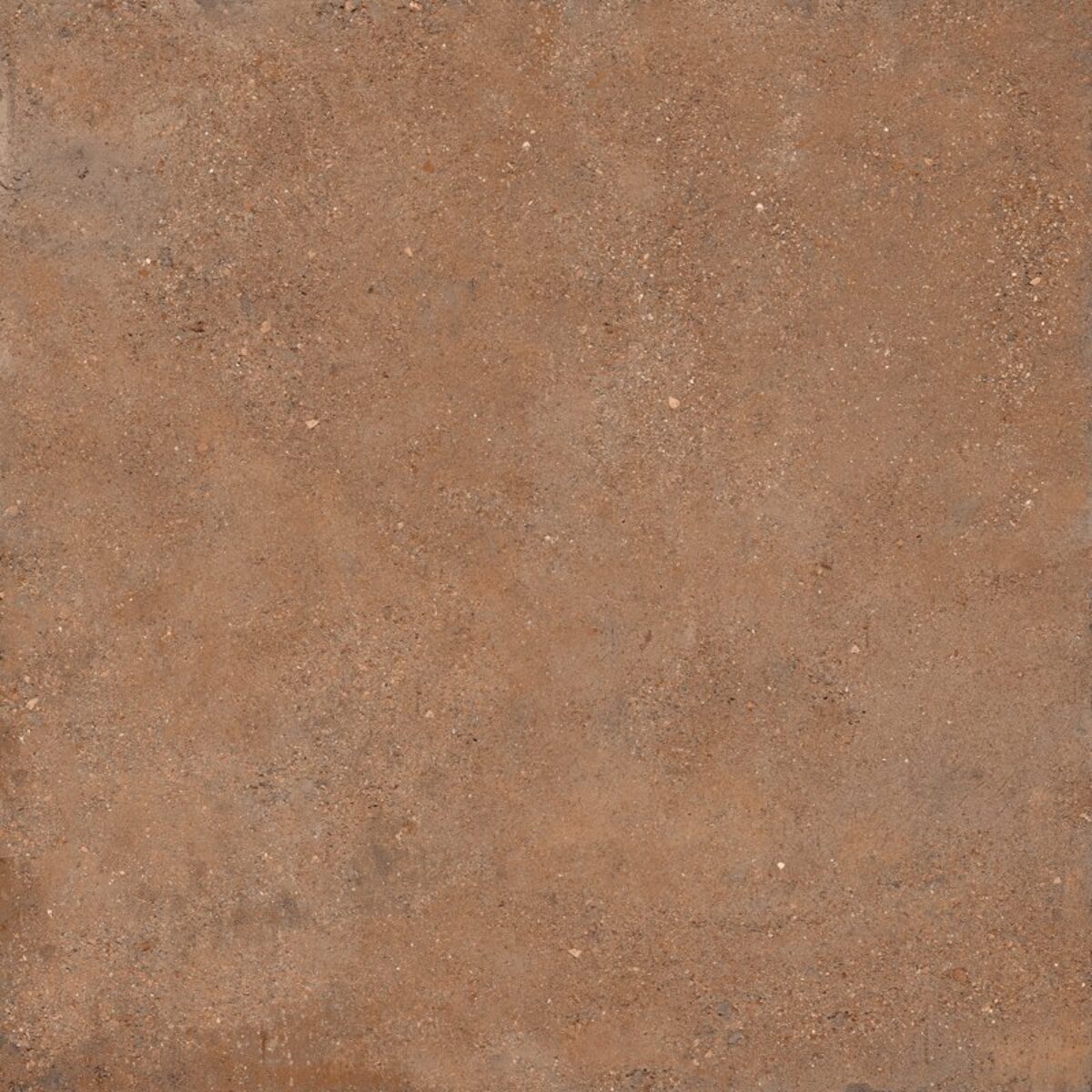 Sant’Agostino DUO BACK COTTO NAT. main image