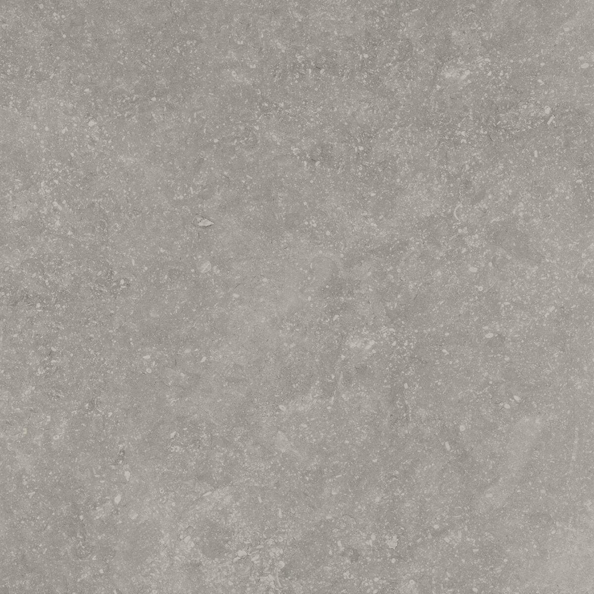 Outdoor Concept LANDSCAPE (20MM) DAY STRUCT. main image