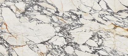 Flaviker SUPREME TREASURE CORCHIA GOLD POLI main image