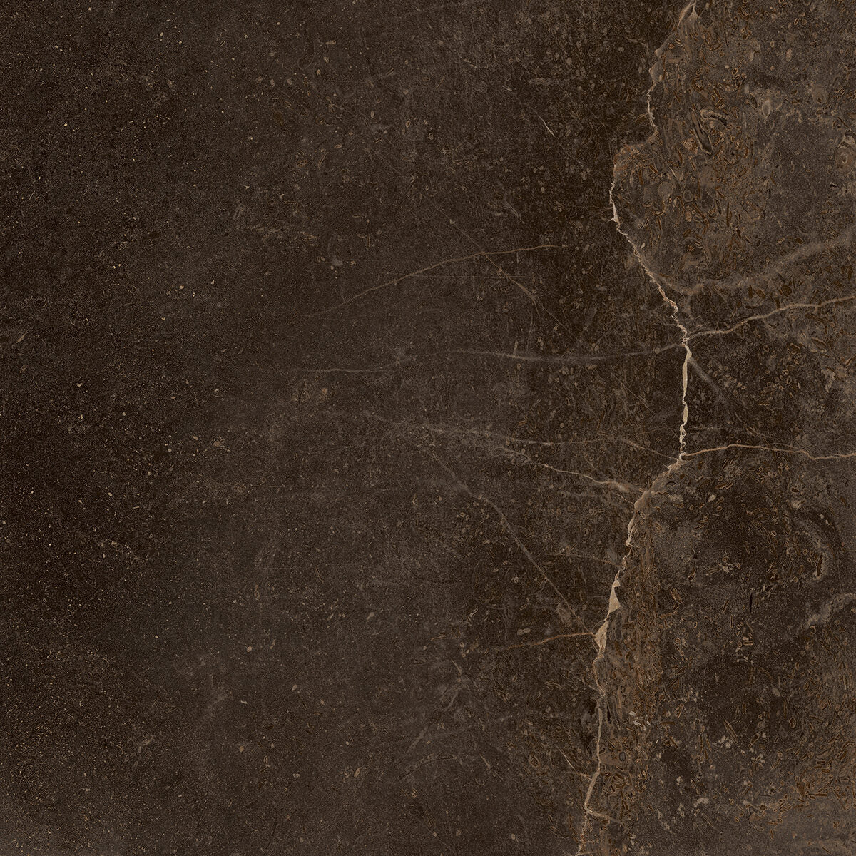 Fondovalle PLANETO JUPITER NAT. main image