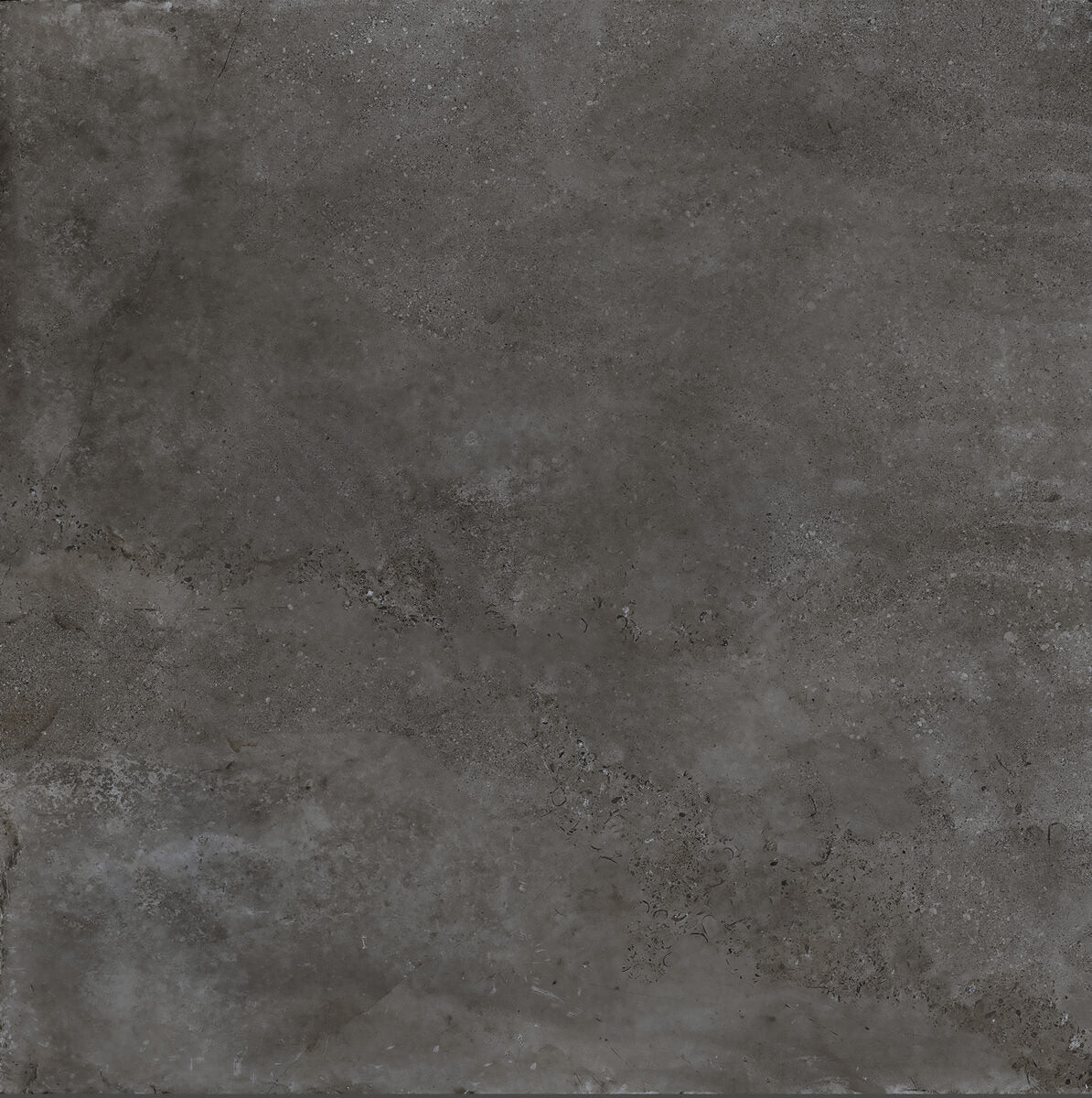 La Fabbrica P. D. CHAT. CHENONC. (ANTHR.) NAT.