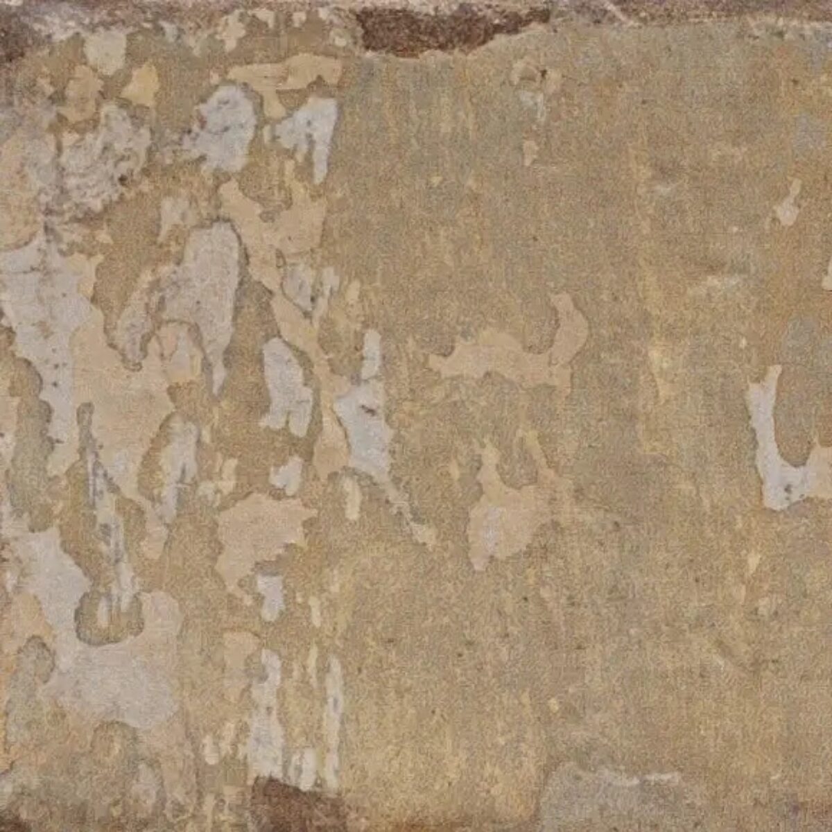 Serenissima & Cir HAVANA MOJITO NAT. main image