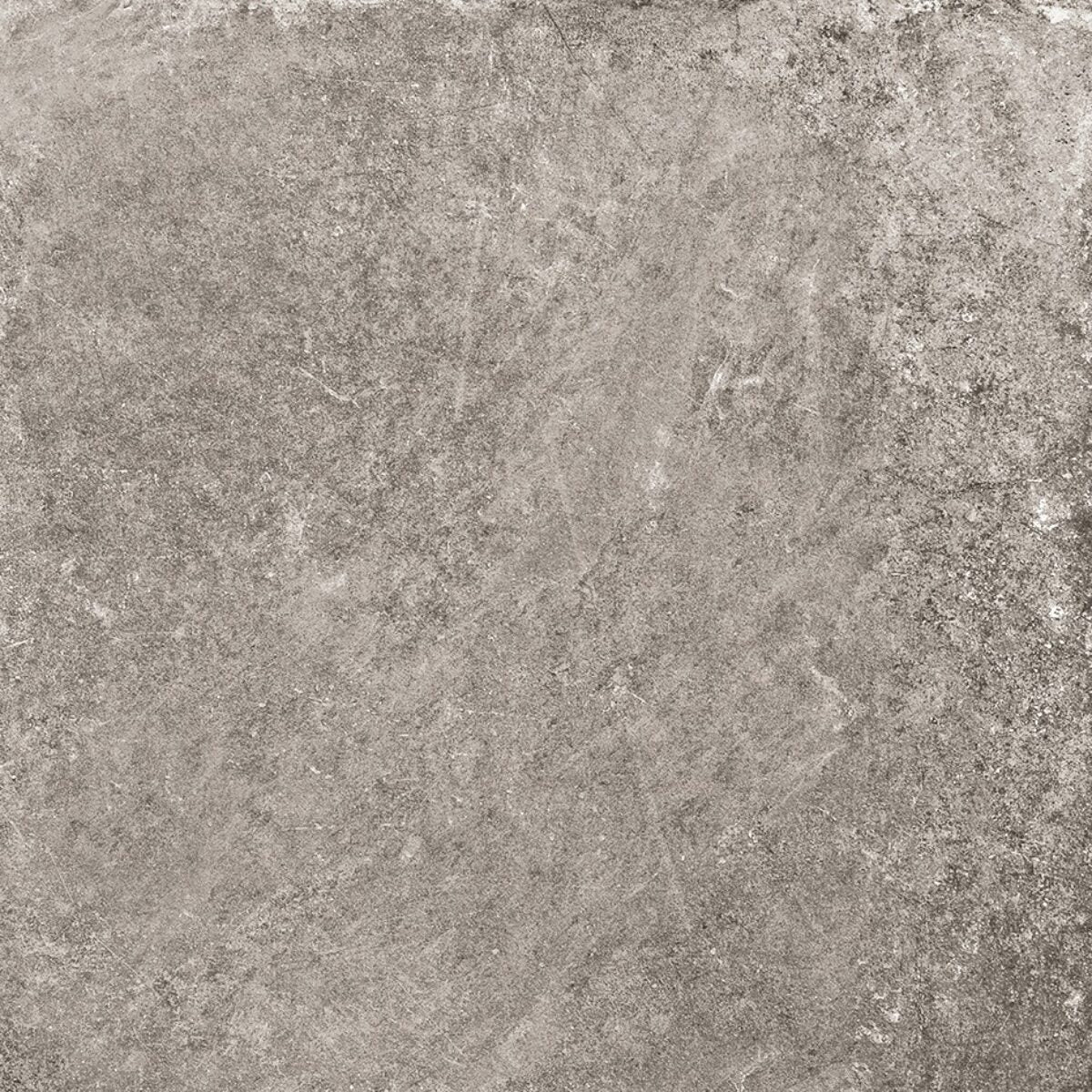 Serenissima & Cir MATERICA 20 TORTORA STRUCT. main image