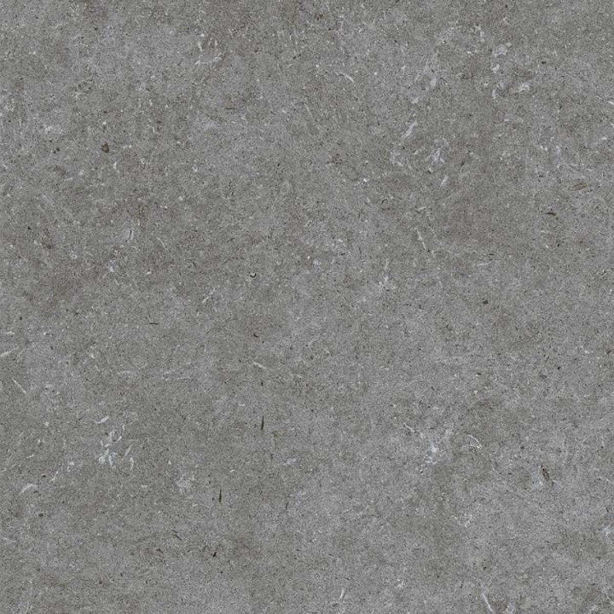 Panaria SURROUND OUTLINE NAT. main image