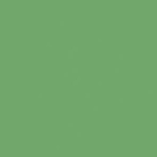 Lasselsberger COLOR ONE GROEN BLINK. main image